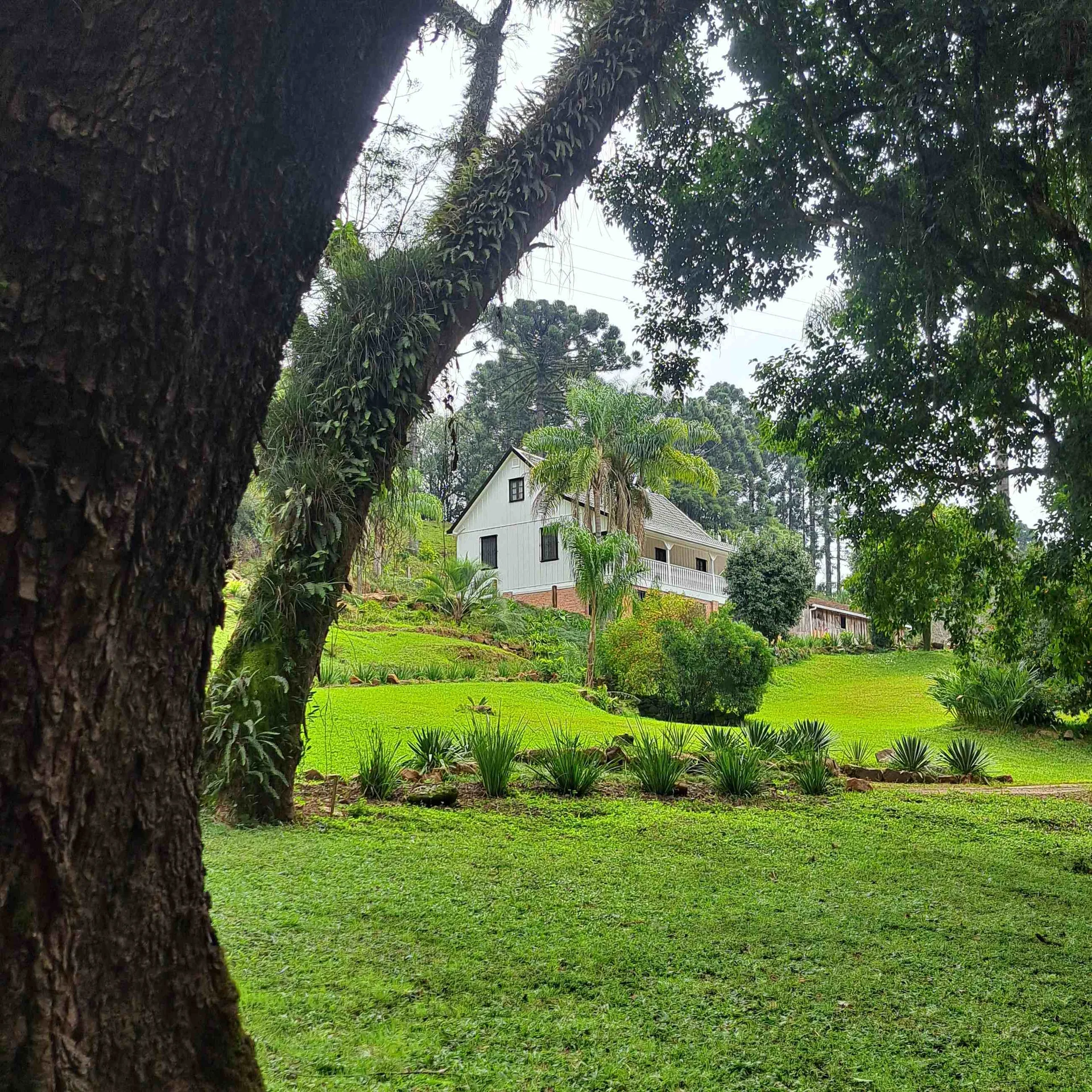 Casarão centenário italiano revitalizado, cercado de mata, à beira do rio