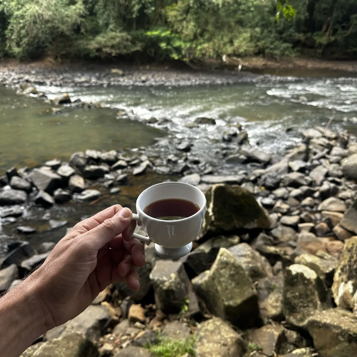 Xícara de café à beira do rio, entre as pedras