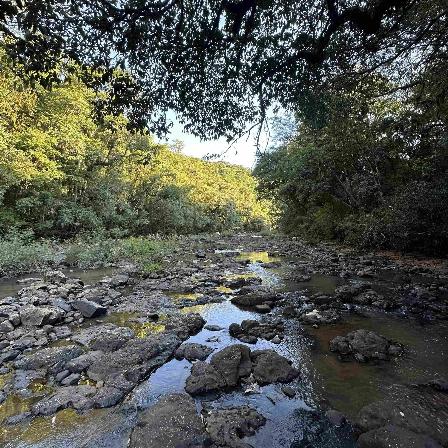 Leito de pedras do rio ao final da trilha