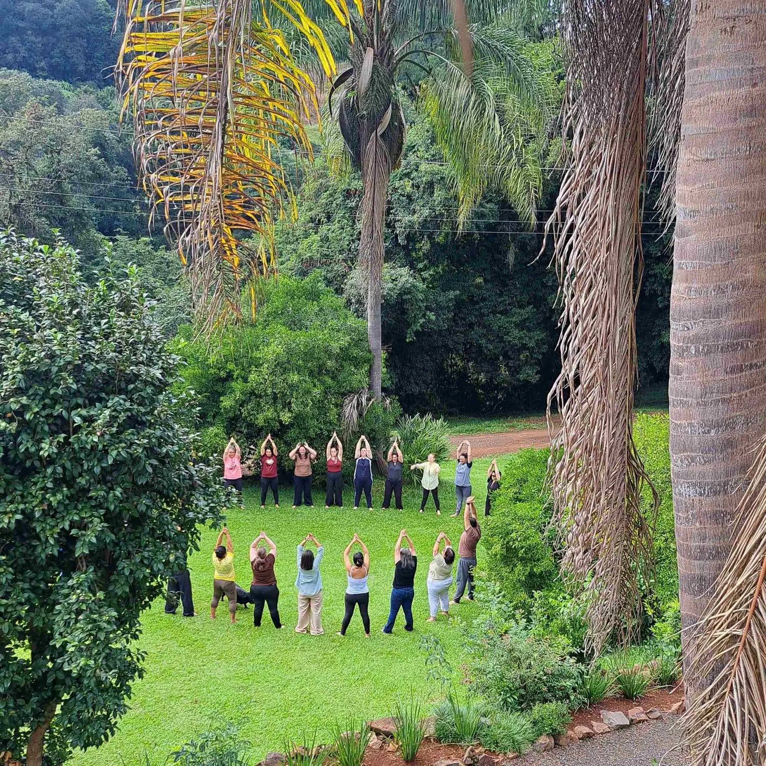 Grupo praticando yoga ao ar livre entre as árvores